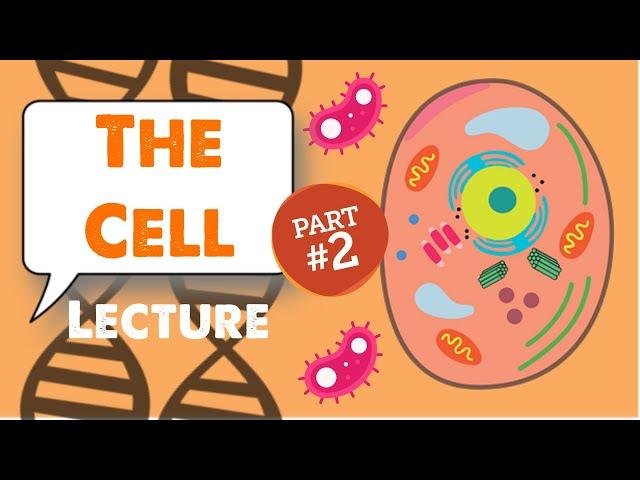 MCAT Biology Lecture: The Cell (2/5)