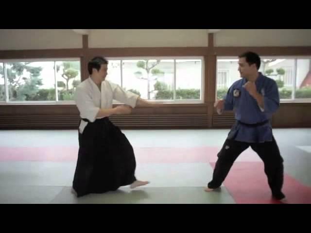 jujitsu vs aikido