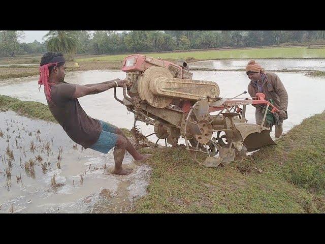 Vst power tiller Pudding for Summer season Rice Farming || Vst Shakti 130di Performance in Mud ||