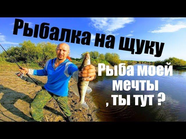 To Siberia for a predator Pike in September Fishing for a sinning Fishing 2019FishingforapikeFishing