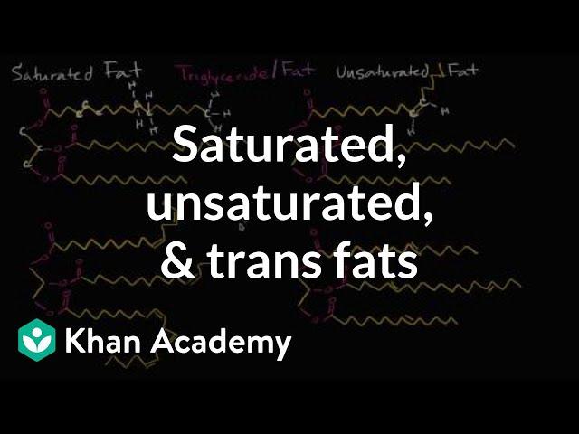 Saturated fats, unsaturated fats, and trans fats | Biology | Khan Academy