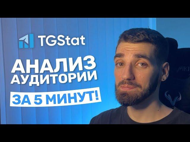 Анализ аудитории с TGStat — знай своего подписчика