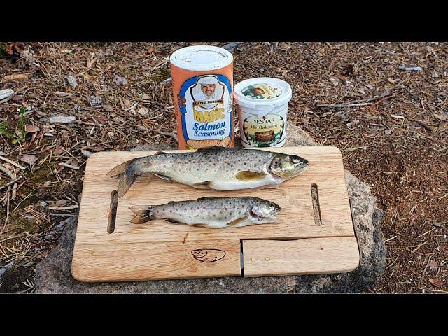 Solo trout fishing deep in the forest | Catch 'n cook | Harvesting berries and mushrooms