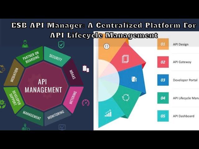 ESB API Manager  A Centralized Platform for API Lifecycle Management