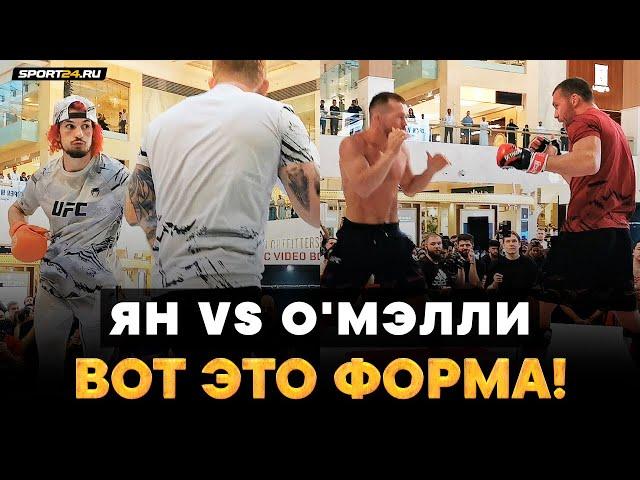 Петр Ян VS О'Мэлли: ОСТРЫЕ УДАРЫ, МОЩНЫЕ БРОСКИ / Тренировка перед UFC 280