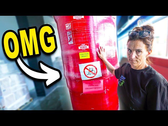 The CRAZIEST Thing Brian Bought For The Aquarium!