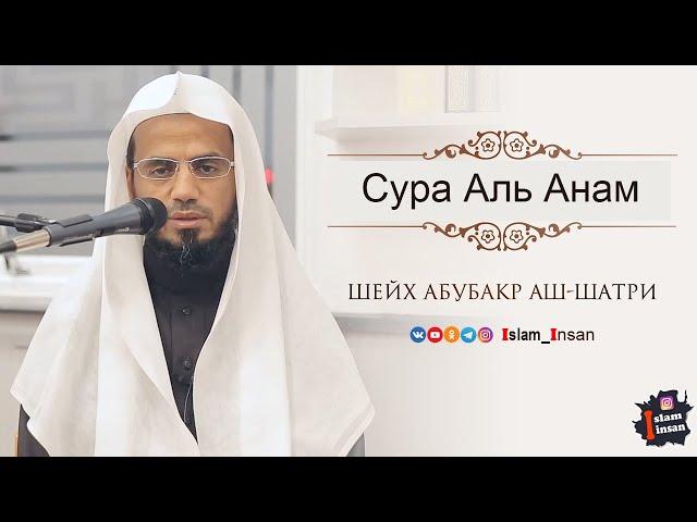 Абу Бакр Аш Шатри Сура Аль Анам  # 6  Abu Baker Al-Shatiri – Al-An'am