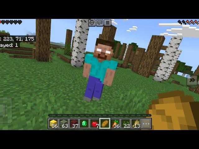 If Herobrine Kills Me in Minecraft Survival Then This Video Ends (Part 1)