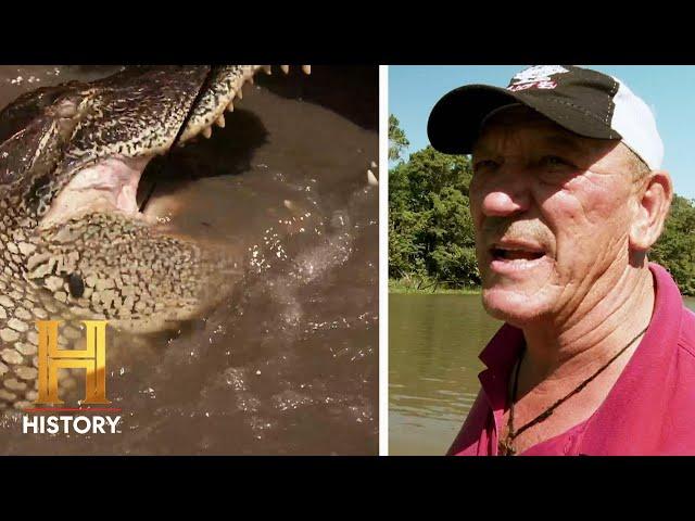 Swamp People: KING OF THE SWAMP Catches MASSIVE Gators (Season 14)