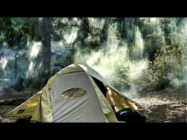 Chased By A Sasquatch! And Had Camp SHREDDED