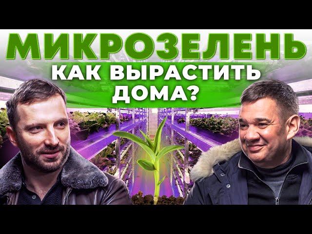 Как открыть ферму микрозелени? Кому продать урожай? Ситиферма на гидропонике | Андрей Даниленко