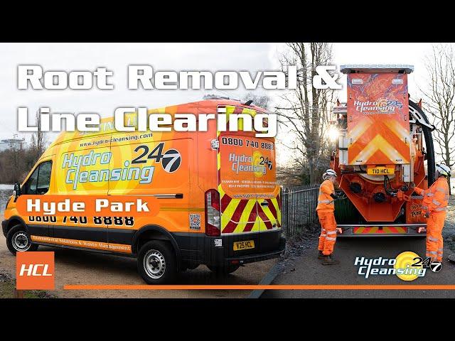 Root Removal & Line Clearing in Hyde Park | Hydro Cleansing