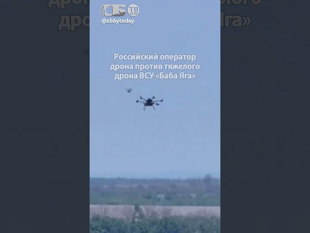 Птичка русских идет на таран! Смертельная схватка с ядовитой паучихой ВСУ