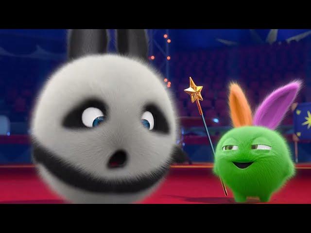 Sunny Bunnies | Big Boo the Panda | COMPILATION | Videos For Kids | WildBrain