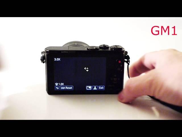 Panasonic GM1 -- How to recenter the pinpoint focus