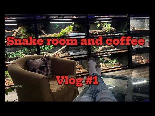 I'M A SNAKE KEEPER! Daily Life with Venomous Snakes and Coffee