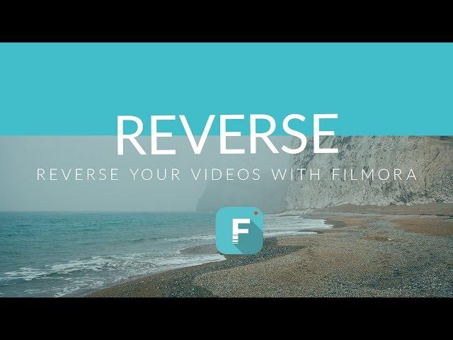 Best Reverse Video Ideas