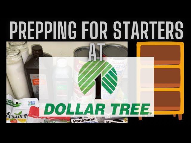 Budget Friendly Prepping At Dollar Tree For Starters.