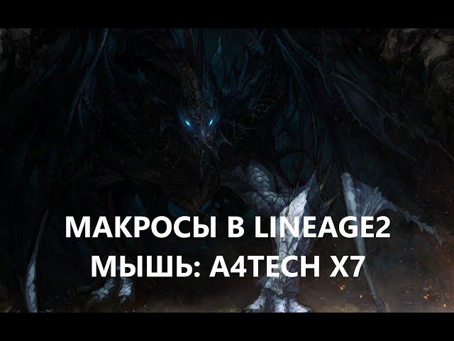 Делюсь опытом по использованию макросной мышки A4TECH. Lineage 2 Homunculus