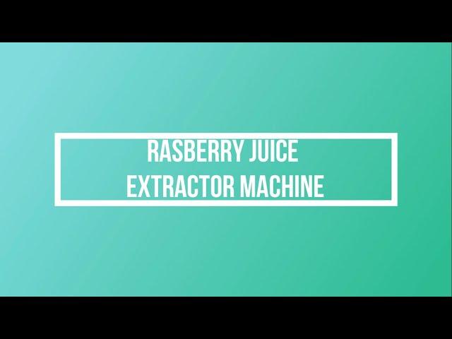 Rasberry Juice Extractor Machine by Geeli Fabricators, Ahmedabad