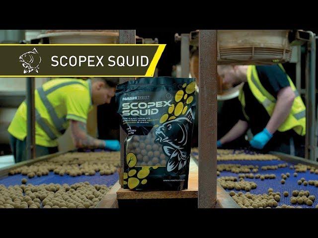 NashBait - Scopex Squid