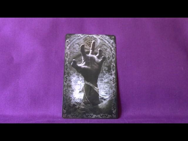 Tarot Z Limited Edition Full Flip Through