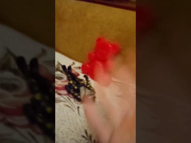 покупайте кукурузу только съешь один качанчик будешь пукать как кабанчик Валера ой главное