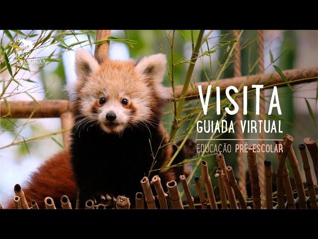 Educação Pré-escolar – Visita guiada virtual | Jardim Zoológico