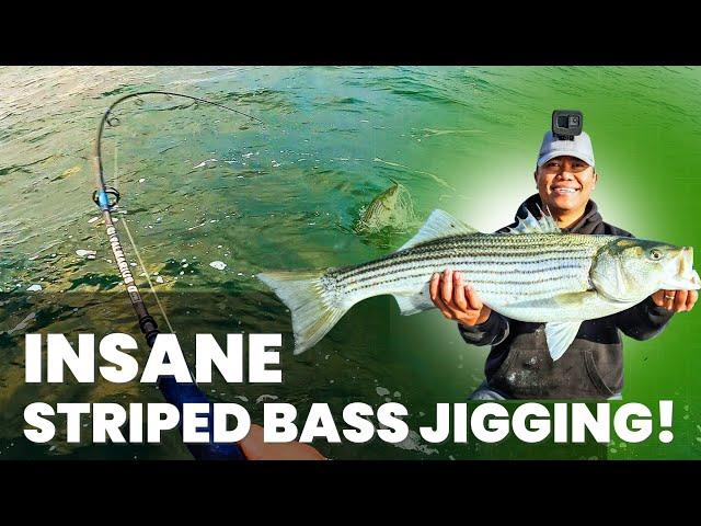 Insane Striped Bass Jigging on Long Island!