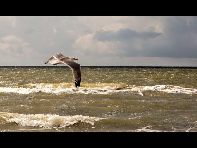 "МАРИУПОЛЬ И МОРЕ"... (Фото Владимира ДИДЕНКО (Мариуполь), музыка Сергея ЧЕКАЛИНА)