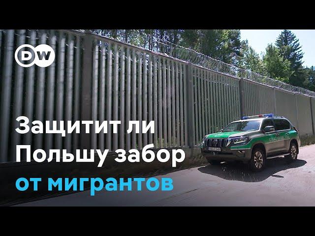 Защитит ли Польшу от мигрантов забор на границе с Беларусью