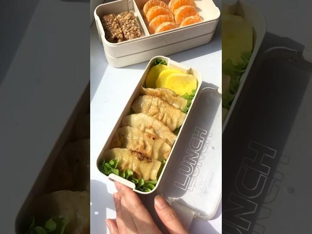 pack lunch with me  FRIED DUMPLING #shorts #asmr #satisfying #food #lunchbox
