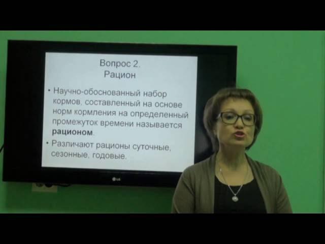 Козина Е.А. Основные элементы системы нормированного кормления.