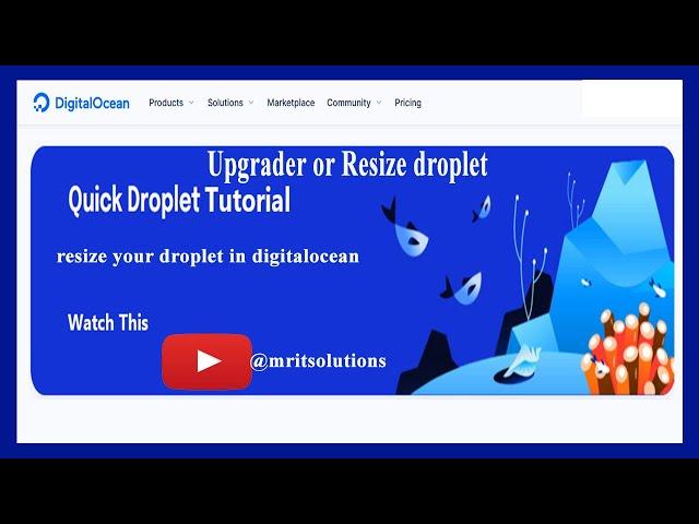 How to Resize a Droplet in DigitalOcean | Step-by-Step Tutorial