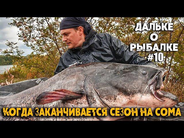 Ловля СОМА при холодной воде | #Дальке о рыбалке 10