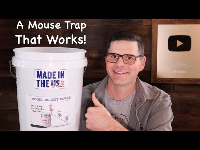 An Awesome and Simple Mouse Trap That Works! The Mouse Bucket Device. Mousetrap Monday