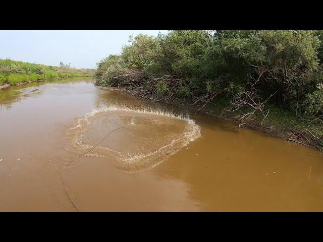 ВОТ ЭТО РЫБАЛКА!!! ВОДЫ В РЕКЕ ПО КОЛЕНО А РЫБЫ В НЕЙ НЕМЕРЕНО!!! РЫБА НА КАЖДОМ ЗАБРОСЕ...