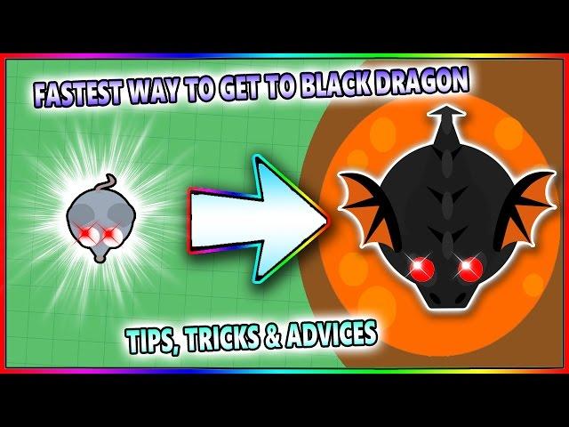 MOPE.IO THE FASTEST WAY TO GET TO BLACK DRAGON! TIPS, TRICKS & ADVICES! (Mope.io)