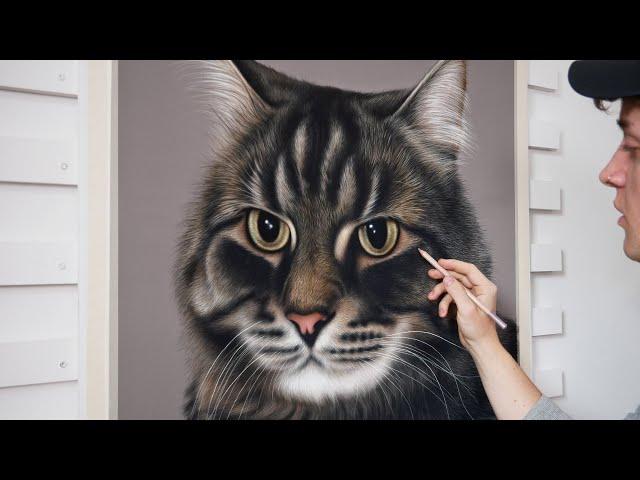 Hyper-Realistic Cat Drawing using Soft Pastels HD