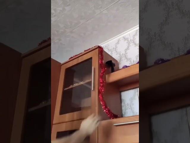 Домовой скрытая камера ставлю скрытую камеру доказать друзьям что в доме действительно шумит домовой
