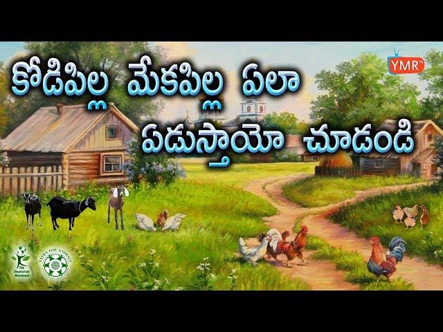 Beautiful Song The Vegetarian Movement | Song for Kodi pilla | Yatra For Animals |  Ymrtv |