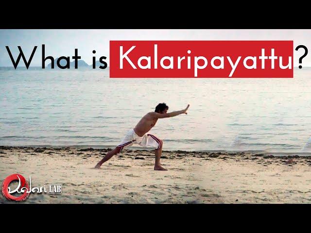 What is Kalaripayattu  - KalariLAB - Centre of training in Kalaripayattu and Kalari Chikitsa