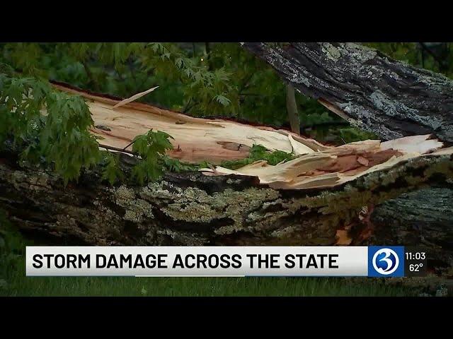 Thunderstorms cause fallen trees and power outages across the state