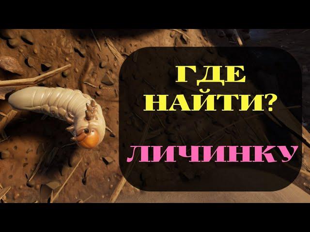 ГДЕ НАЙТИ ЛИЧИНКУ GROUNDED