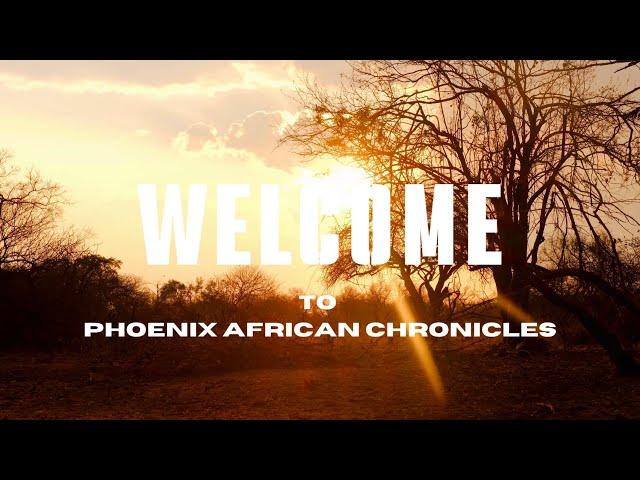 Welcome to Phoenix African Chronicles: Discover the Stories of Africa!