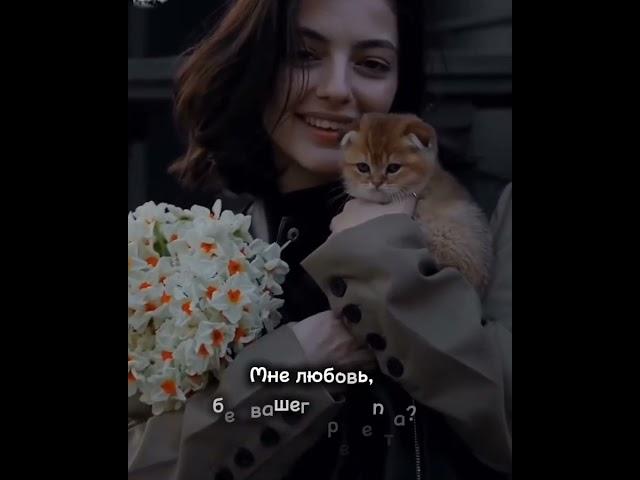 Доктор пропишите мне весну. Автор стиха Алексей Кусков. #музыка #стихи #авторскиепесни