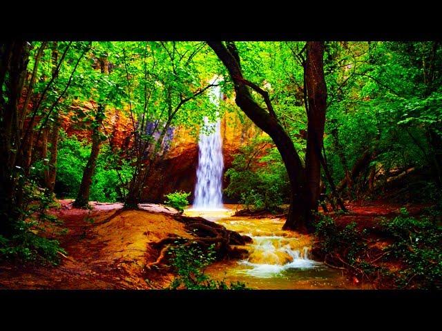 Musique Zen - Flûte, Cloches Tibétaines et Bruit de la Nature - Relaxation, Dormir