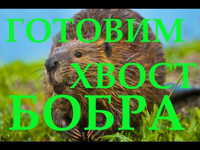 Готовим хвост бобра, как приготовить хвост бобра! Cooking beaver tail, beaver tail how to cook!