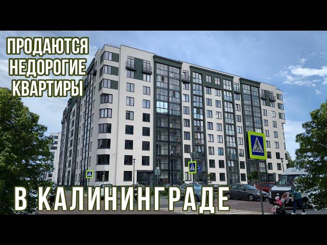 Продаются недорогие квартиры в Калининграде. Московский район. Обзор. Цены.