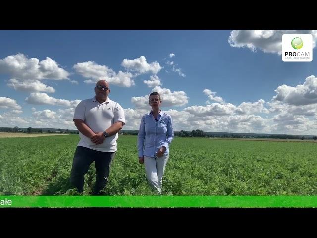 Zapraszamy na Kwidzyński Dzień Warzyw 25.08.2022